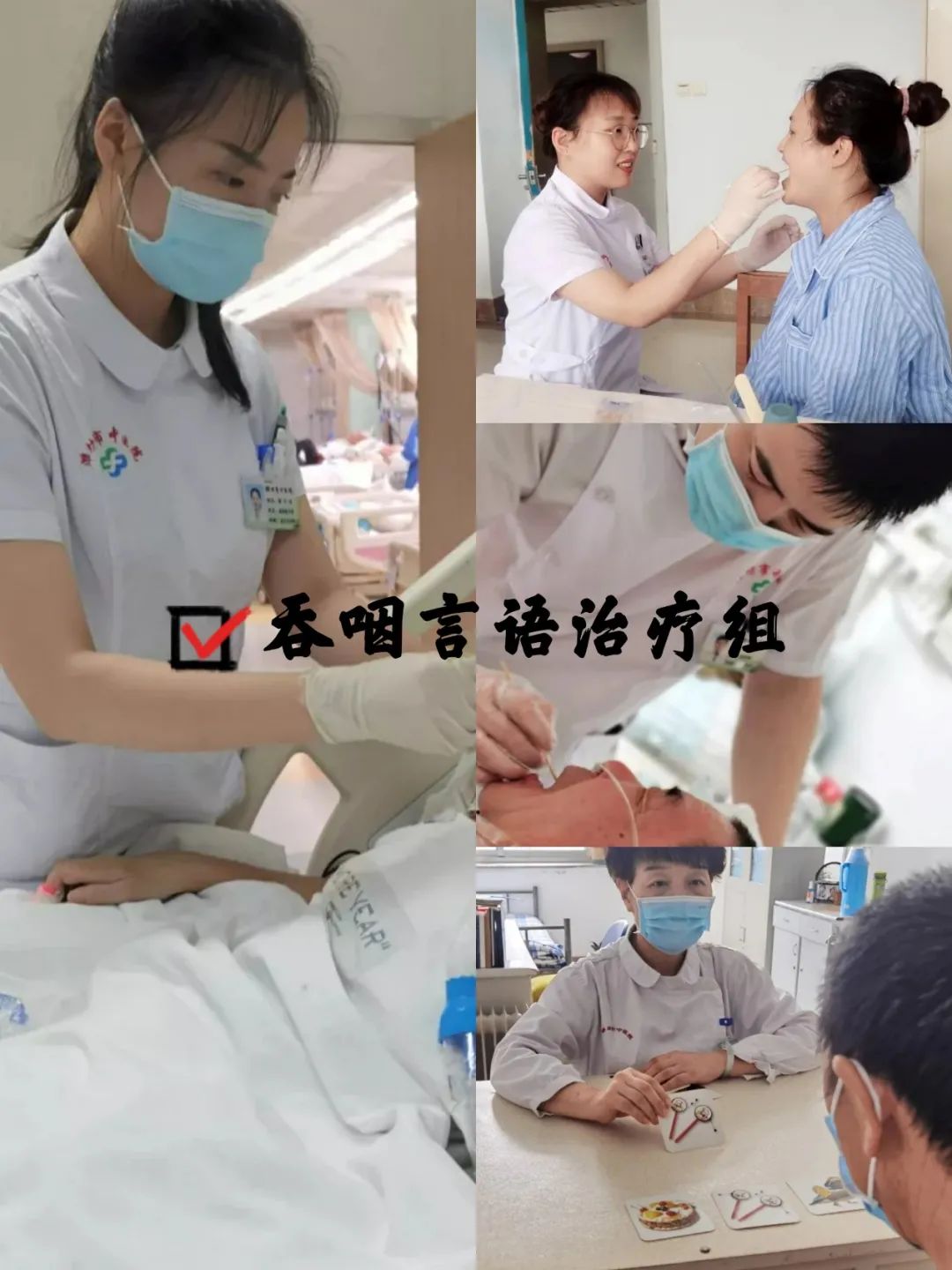 世界物理治疗大会,世界物理治疗师日有哪些活动