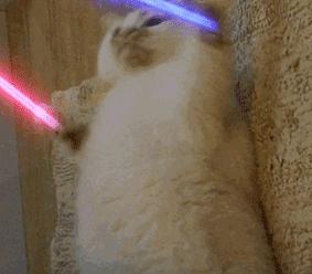 word怎么快速排版多张图片,word插入图片排版布局