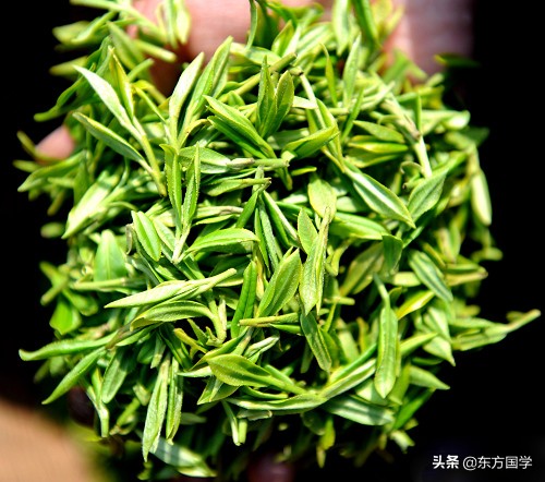 漫漫问茶路，能不忆江南？——久负盛名的“香郁若兰”