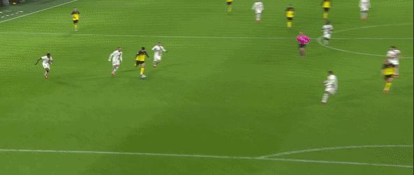 哈兰德和罗纳尔多数据,世界杯贝利罗纳尔多