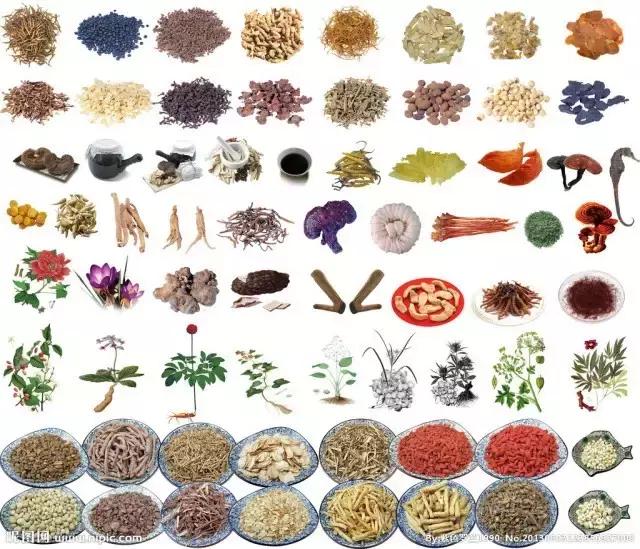 宠物皮肤病特效药有哪些,宠物常见的皮肤病药