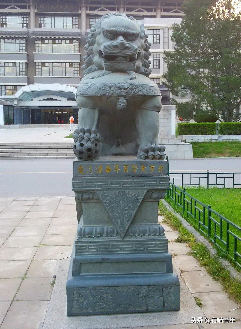 北大石狮子绝育事件,北大石狮子修复了吗