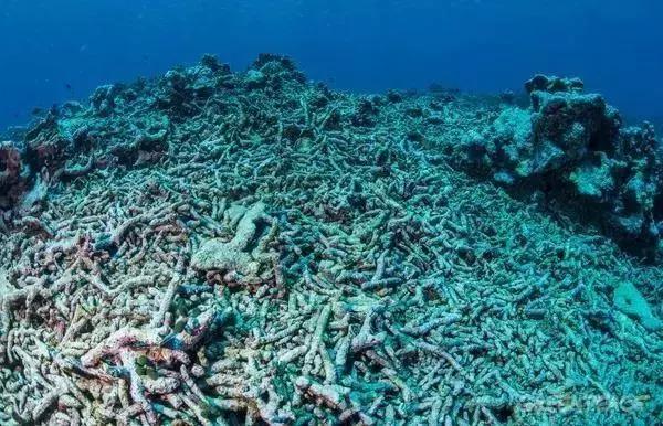 地球5年后的大灾难,地球病了会好起来吗