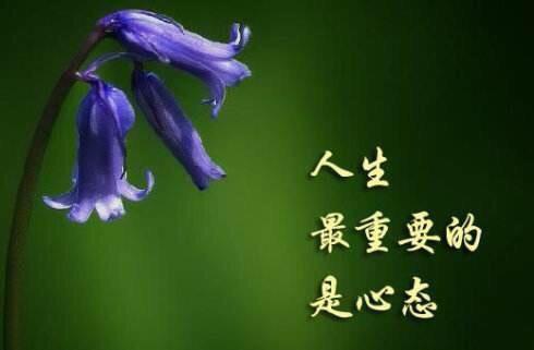 暴脾气怎么变好,暴脾气怎么去解决