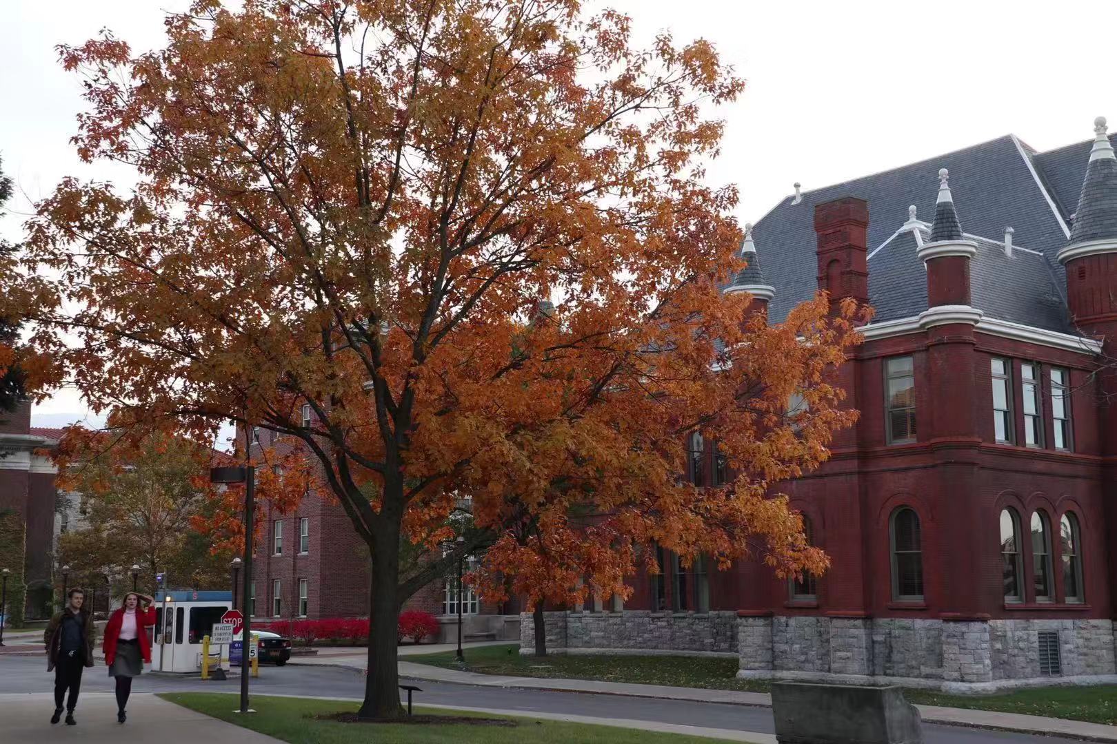 美国大学最新招生政策,美国大学招生不只看成绩