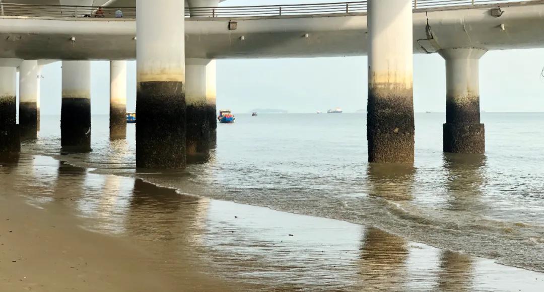 「游记」在厦门的三天两夜