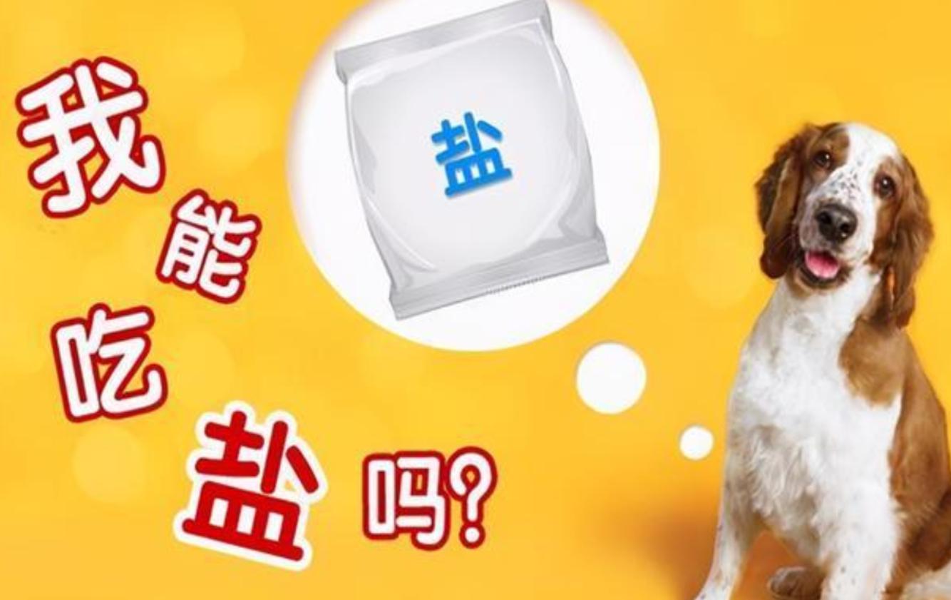 动物不用吃盐吗,宠物真的不能吃盐吗