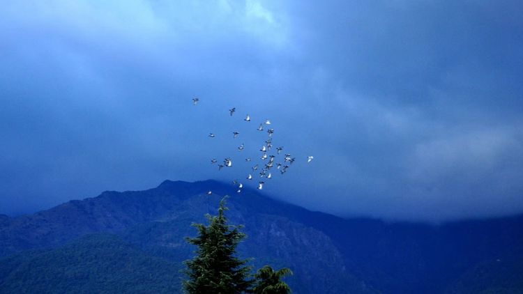 深秋的私语,美文美图经典欣赏