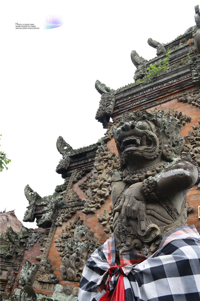 在印尼见识传说中最昂贵的猫屎咖啡