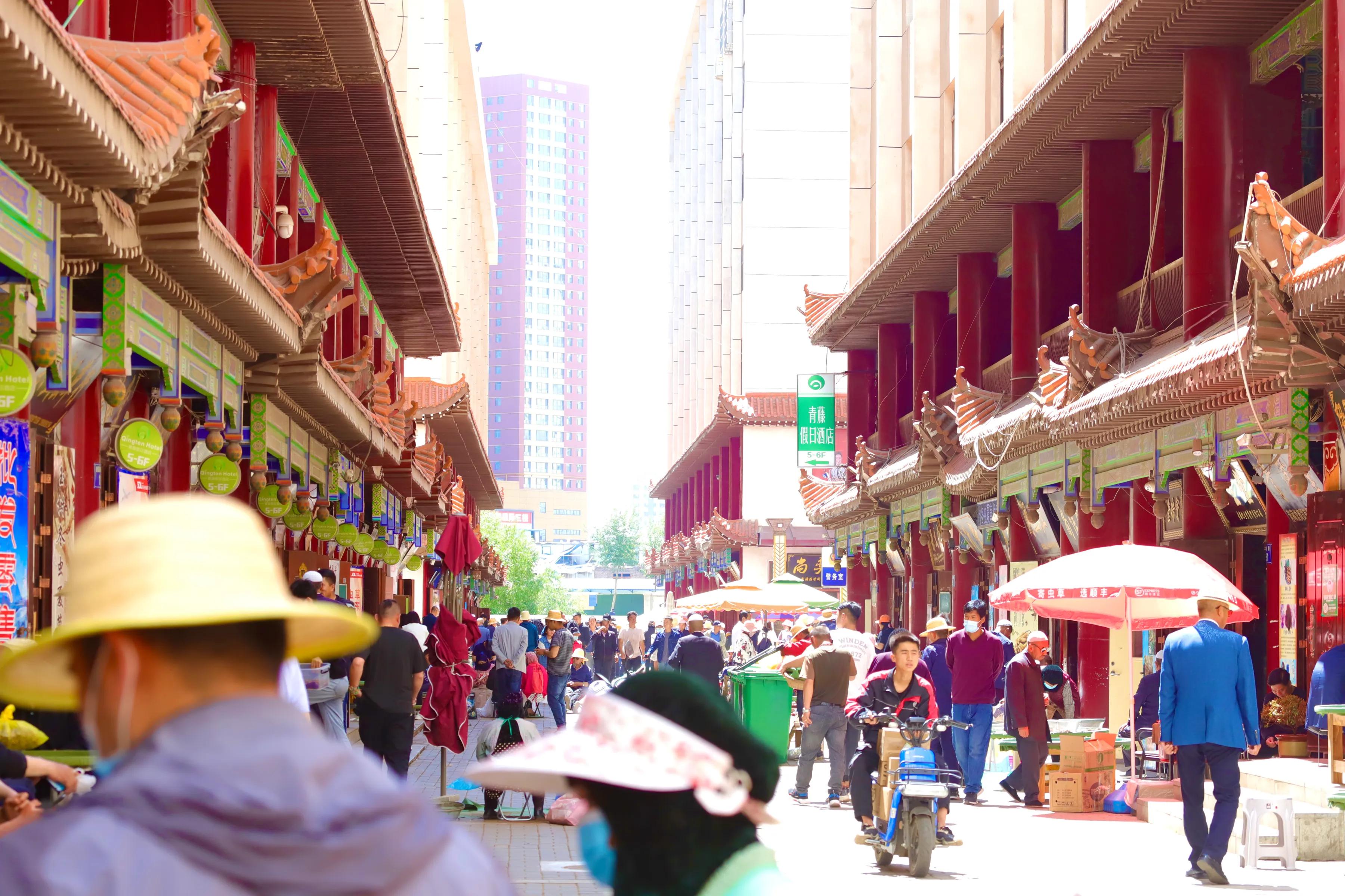 中国最大虫草市场,全国最大冬虫夏草集散地