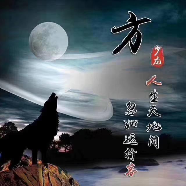 狼励志微信头像,狼的微信头像励志