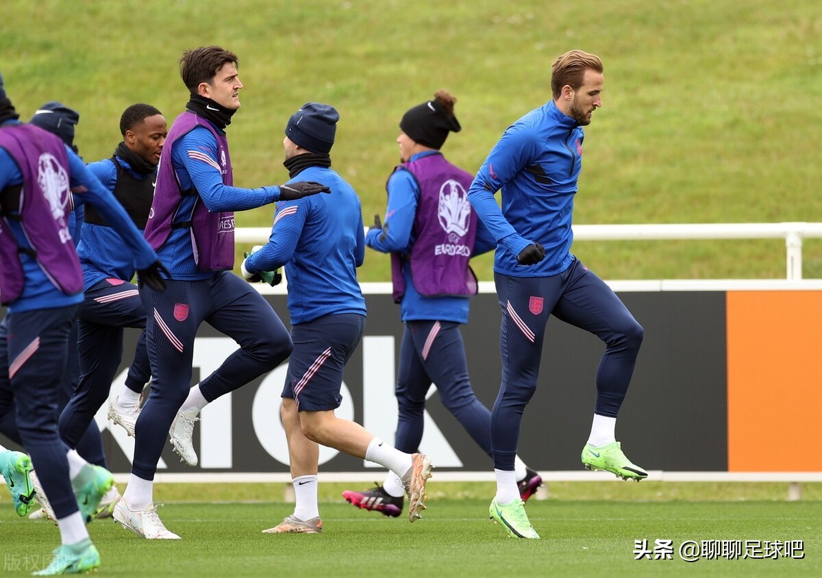 丹麦队vs威尔士队身价,丹麦vs突尼斯身价