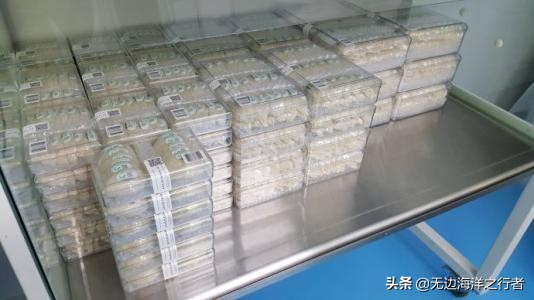 燕窝哪家品质好,燕窝哪个牌子好排行榜