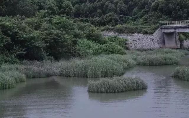 央美女生毕业作品,央美女生毕业