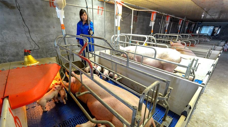 报告：智慧农业或成全球经济新增长点；新知识！什么是农业4.0