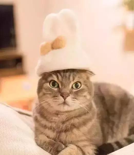 变废为宝绵羊毛衣,变废为宝旧毛衣