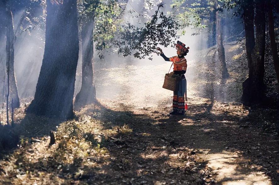 相宜本草中草药护肤,相宜本草的护肤过程