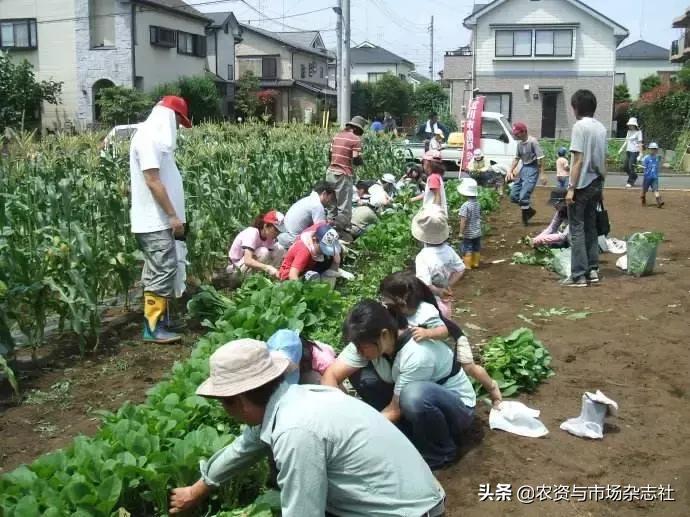 日本农业成功的主要经验,中国和日本农业差距50年