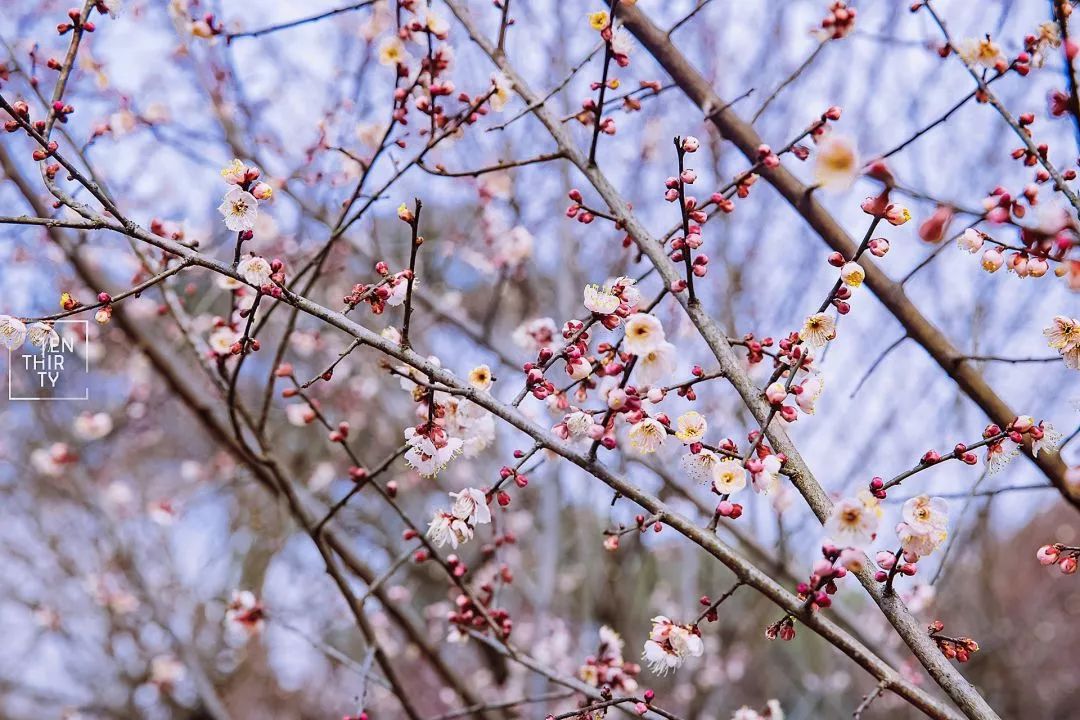 武汉11月打卡景点和网红地,武汉50个值得打卡的地方