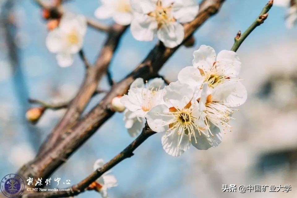 听好了!今天我们要夸矿大!