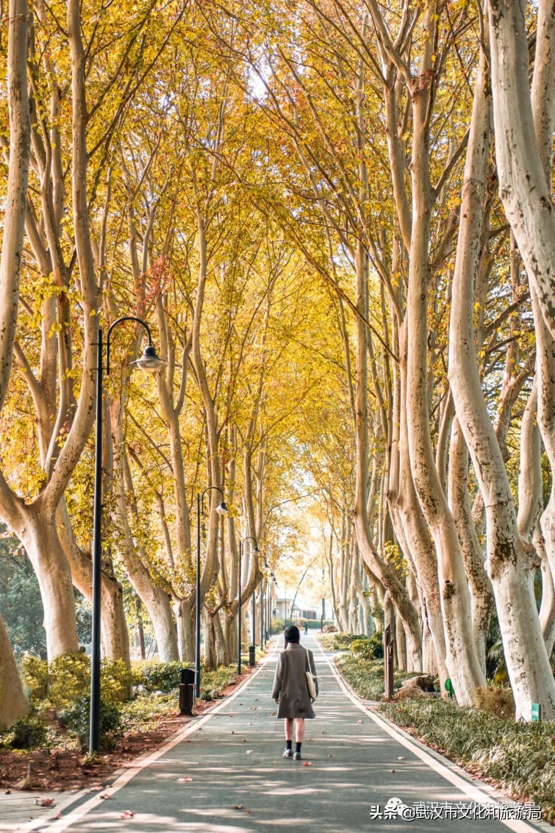 武汉环城绿道,武汉上半年全线贯通的新绿道