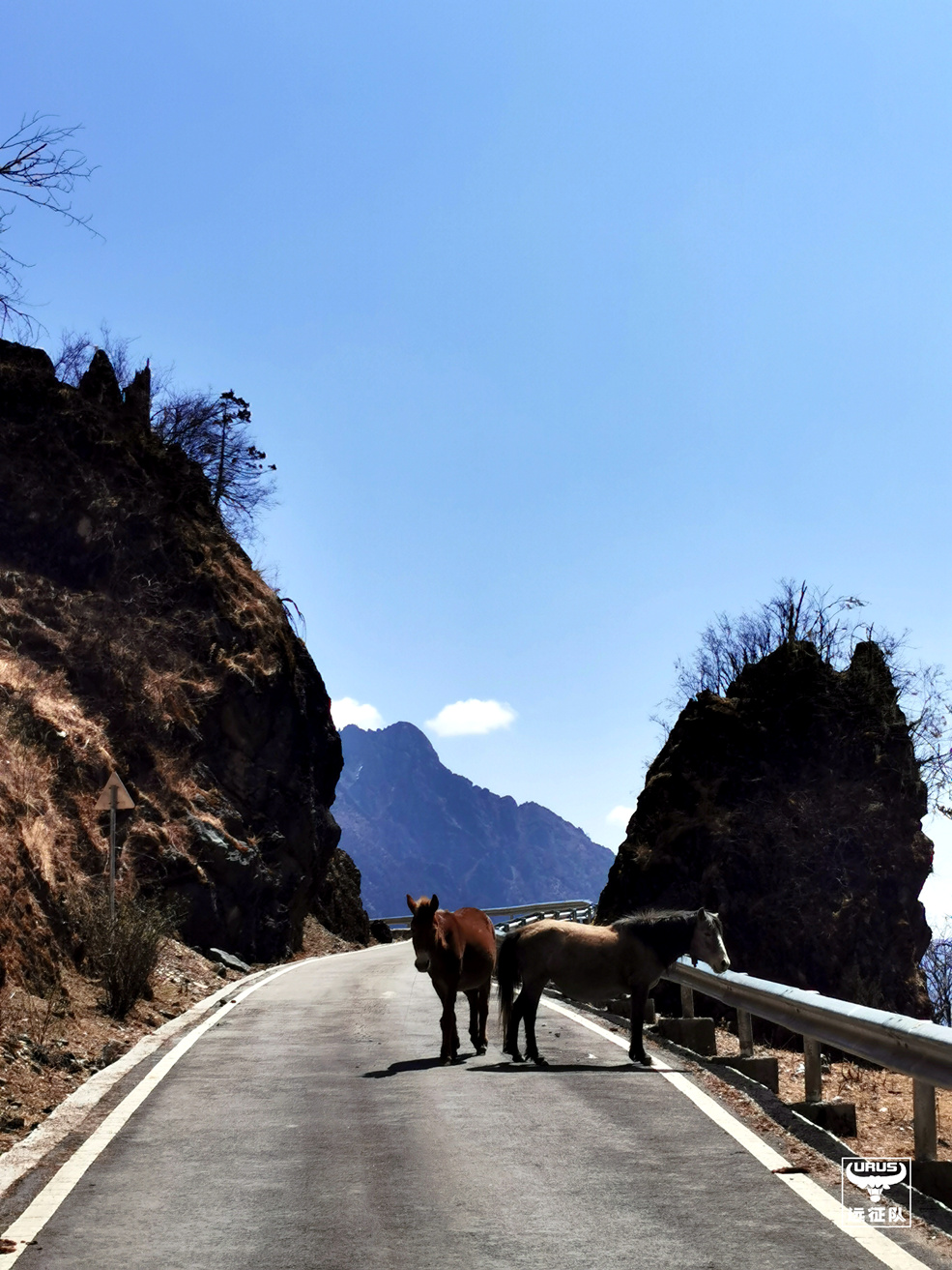 稻城亚丁至玛娜茶金如何走,四川木里县到玛娜茶金自驾