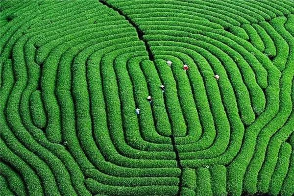 福建如你歌曲,福建如你闽南话版