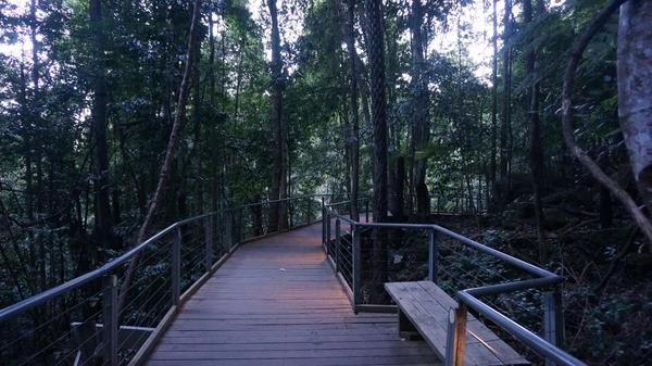 初游澳洲，从冬天飞往夏天——悉尼蓝山+墨尔本大洋路7天经典路线