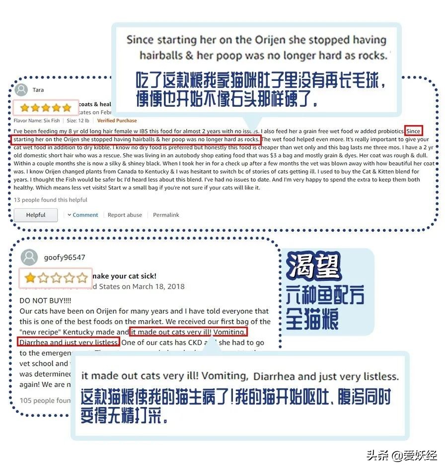 十大良心进口猫粮排名测评,进口天然猫粮