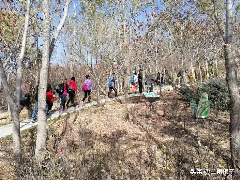 立冬自然风景,立冬雪景山水风景视频