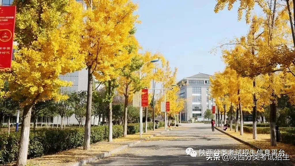 两汉三国，真美汉中|汉中职业技术学院