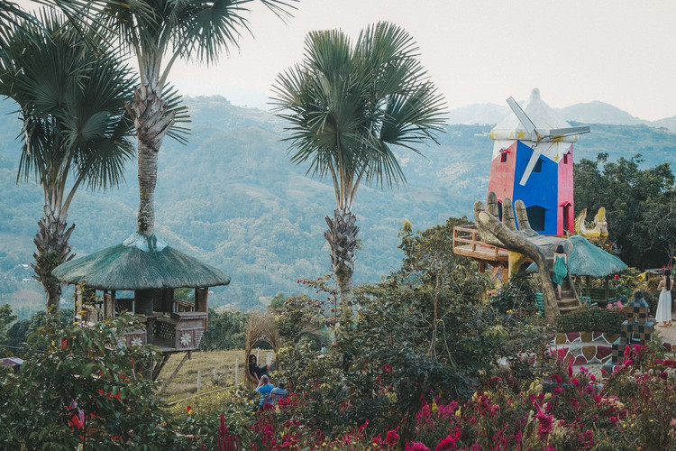宿务三日攻略,宿务旅游攻略美食