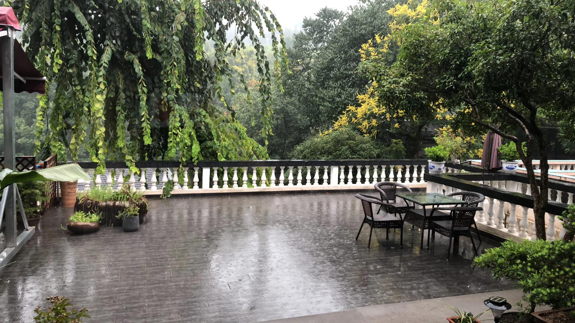 忆杭州龙井,茶砚山舍