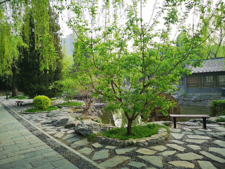 英语单词美句经典,英文美句带翻译励志