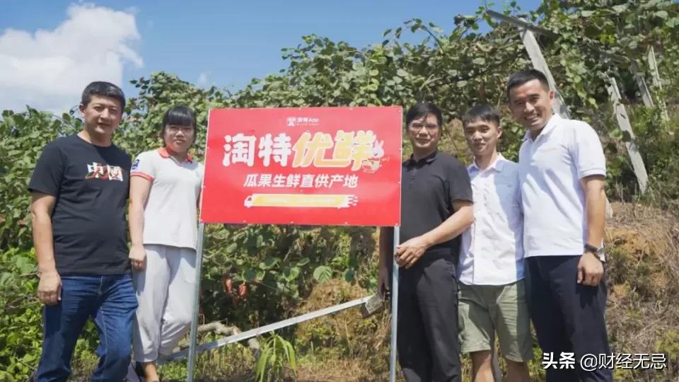 淘特近一天回复率为0怎么提升,淘特销量累积