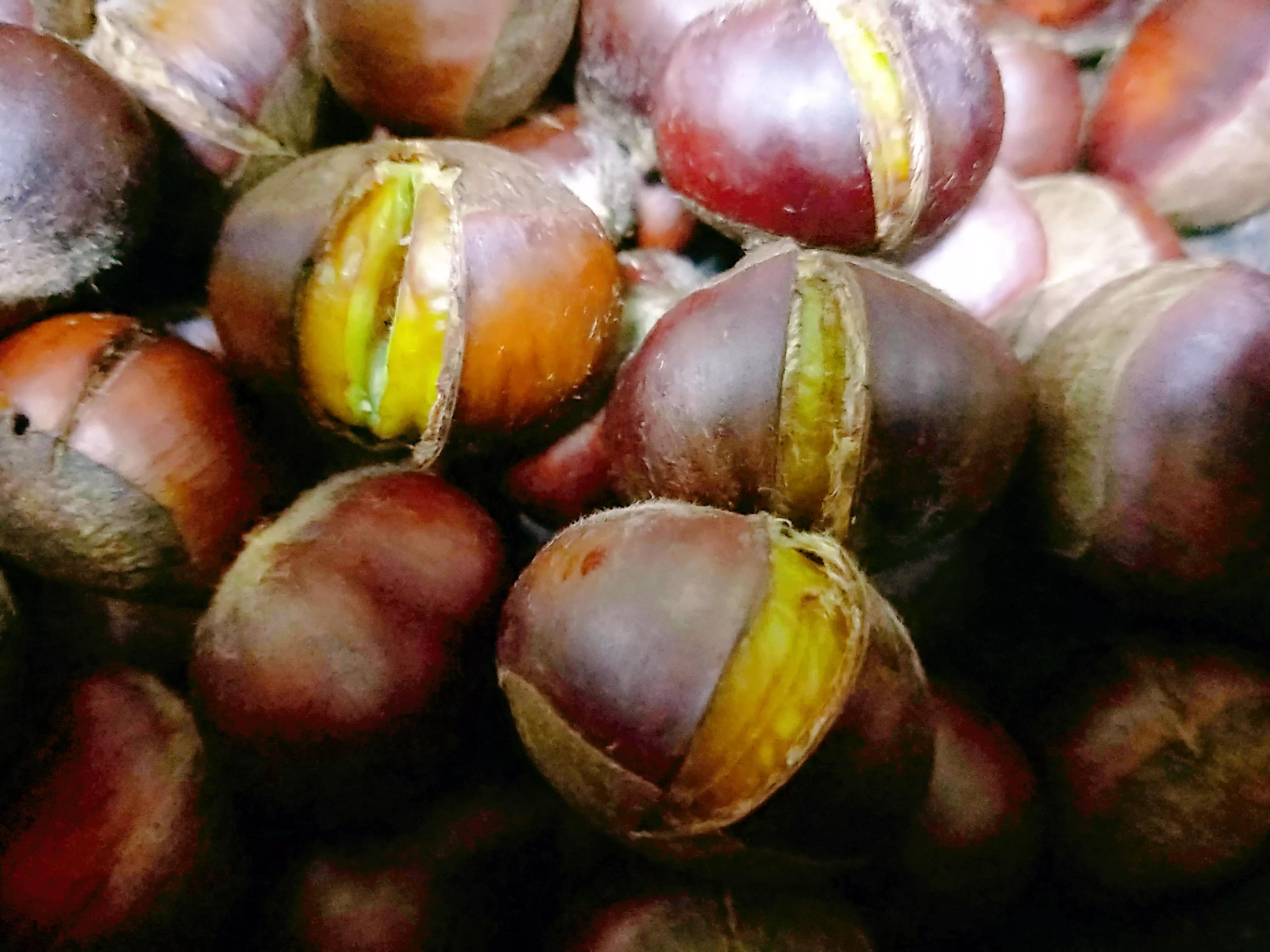 入秋后板栗的美味做法,秋天板栗怎么吃好