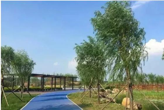 郑州北湖湿地公园攻略,十年前郑州天健湖公园