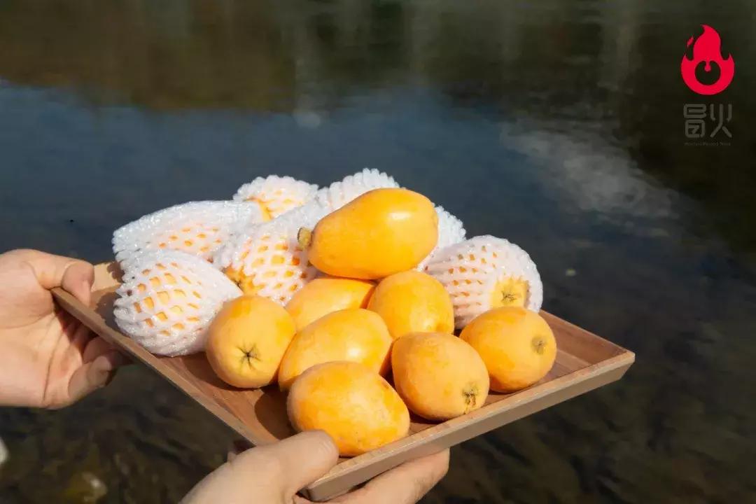特级攀枝花米易枇杷新鲜大果,正宗四川龙泉驿大五星枇杷