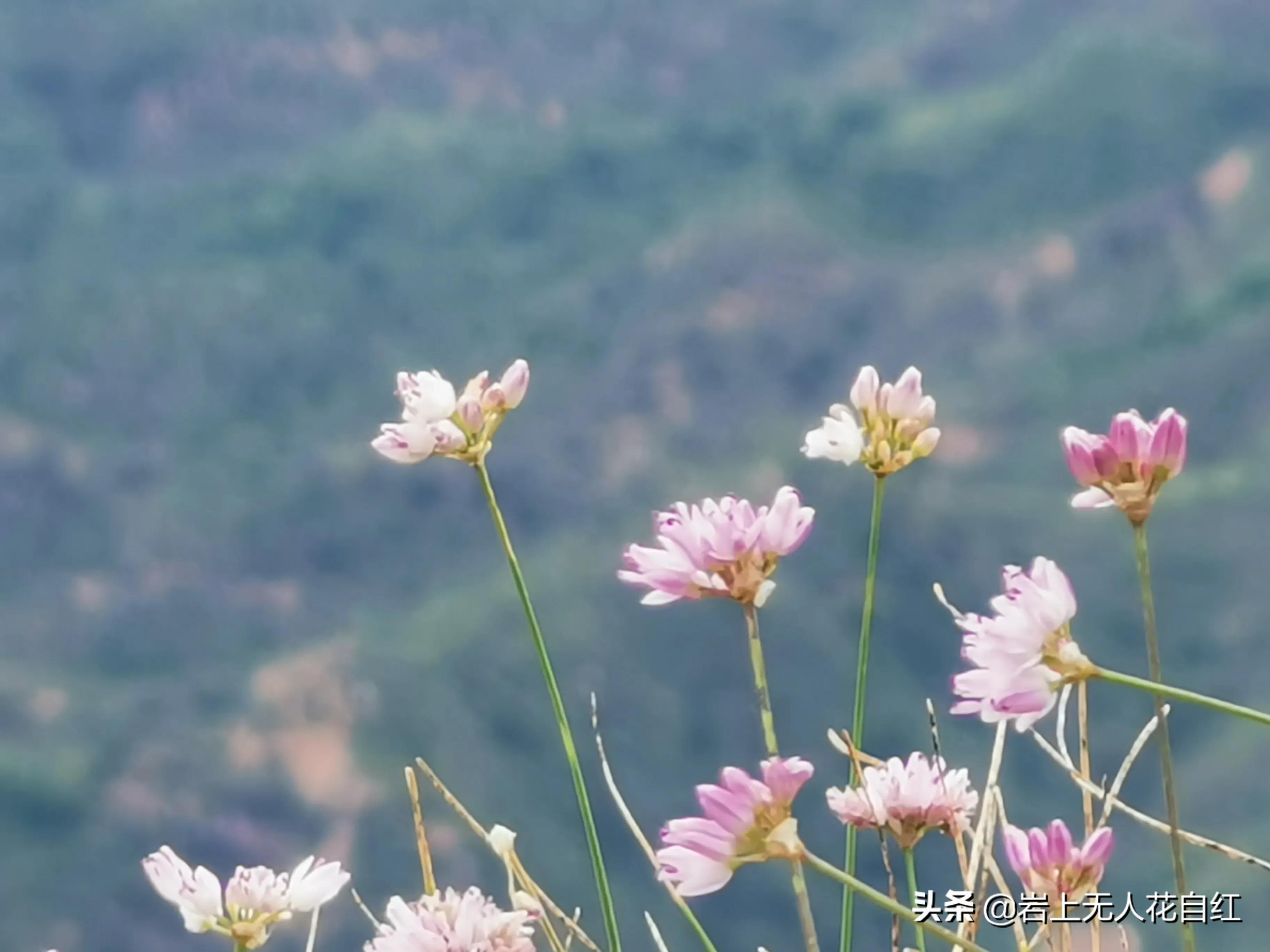 司马台原始长城,司马台老长城