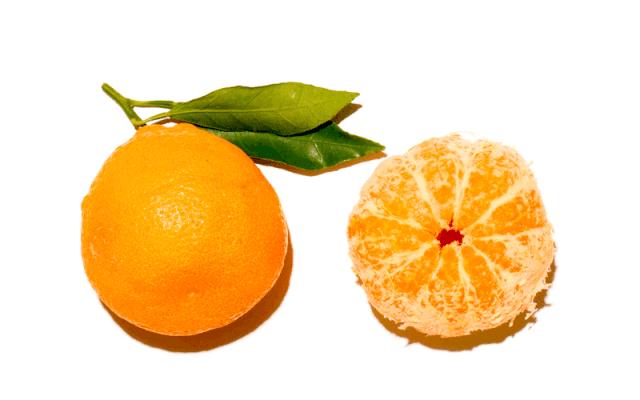 花是玫瑰花英语怎么说,花的英文flower怎么读