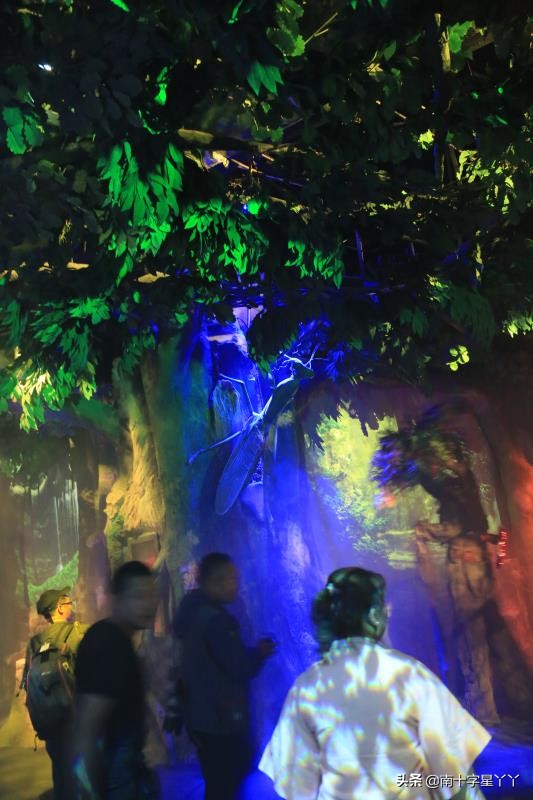 宁夏沙坡头沙漠美景,沙坡头沙漠区和黄河区