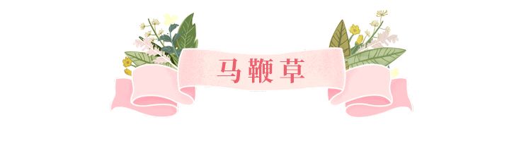 美美美!余杭七大花海组团来袭,遍地繁花好似人间仙境