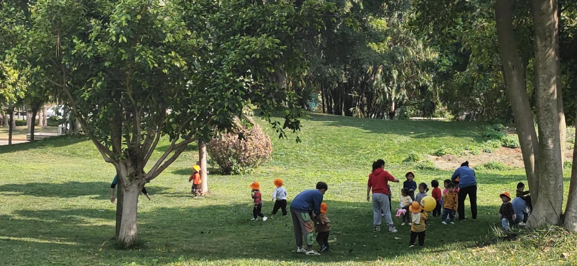 云南弥勒和勐海哪个适合养老,云南弥勒海拔高度适合养老吗