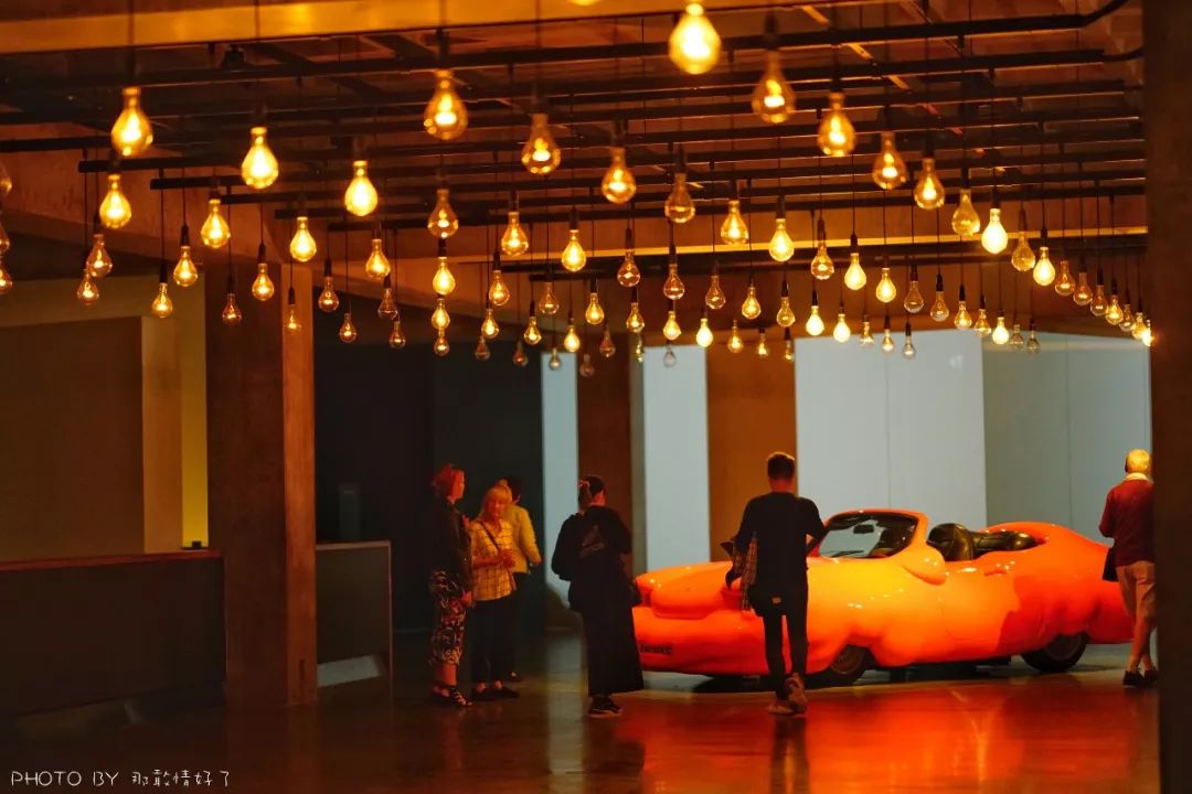 去哪里旅游可以看南极企鹅,旅游攻略南极看企鹅