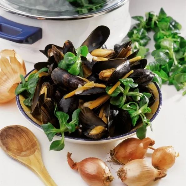 法国旅游特色景点美食,法国首都巴黎美食攻略