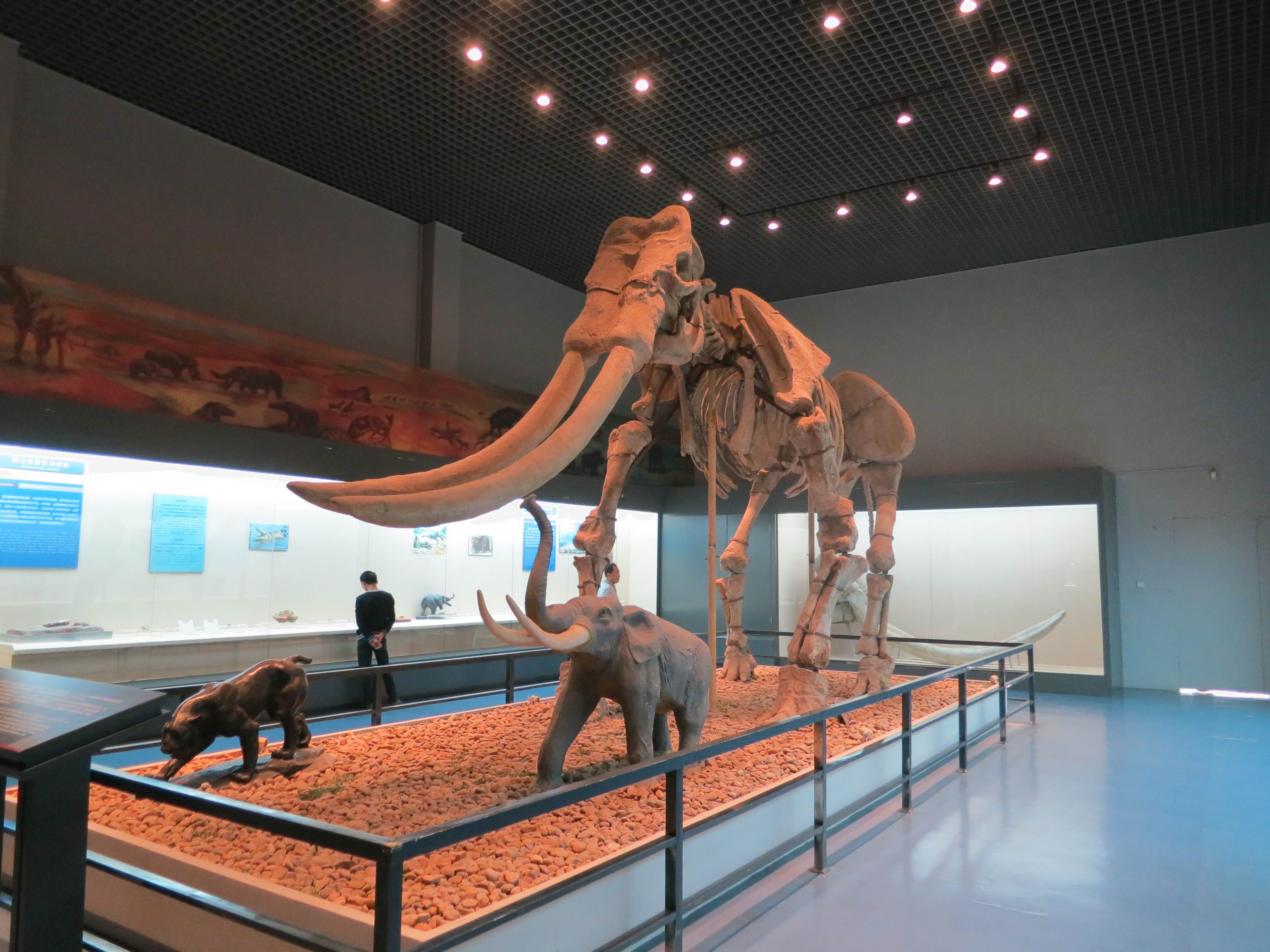 合肥市网红游玩区,合肥网红景点推荐