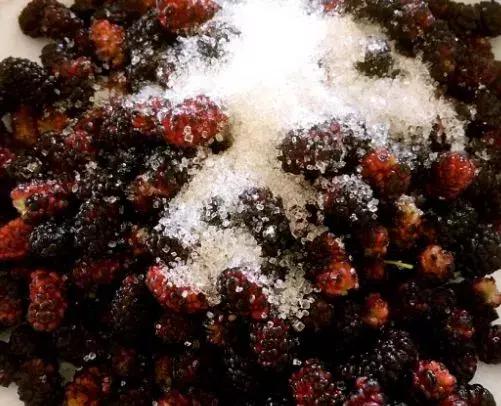 新鲜桑葚保存的做法,鲜桑葚的最佳保存方法