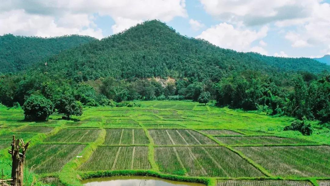 村庄规划编制是干什么,村庄规划编制流程