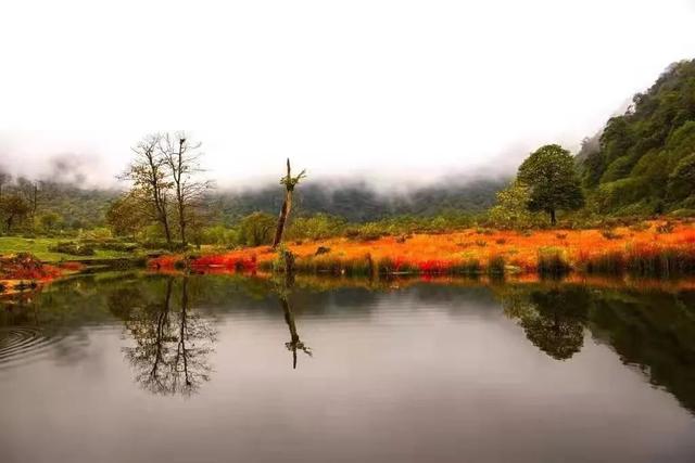 红了！黑竹沟迎颜值巅峰快去穿越五彩童话世界