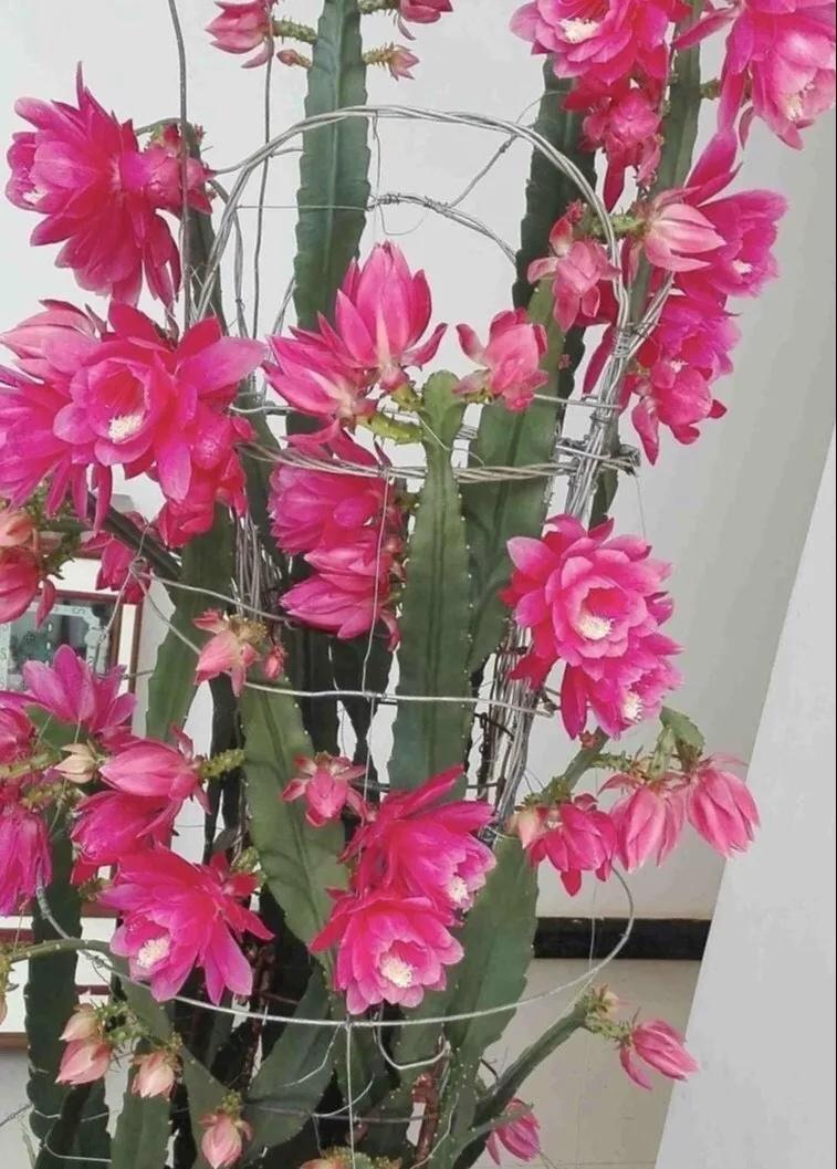 教你如何避开假货买到真品,一张图告诉你怎样分辨假货